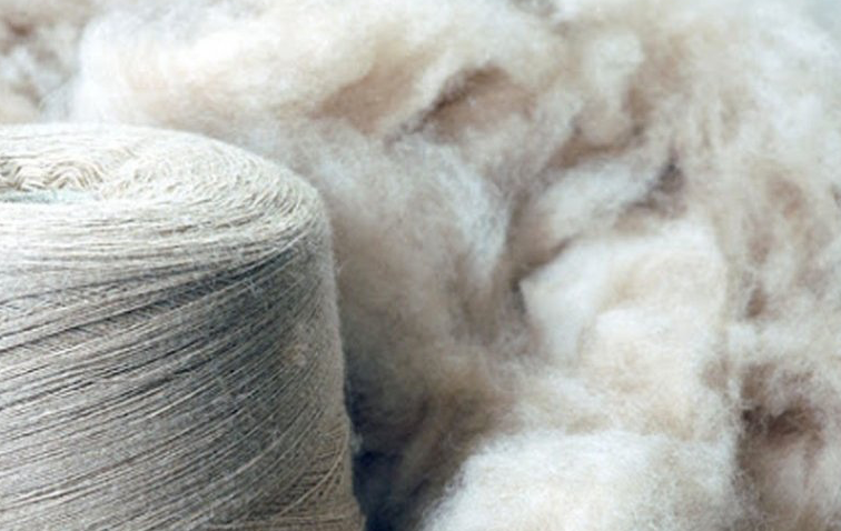 Аймгуудад ноолуур 180-203 мянгын үнэтэй байна